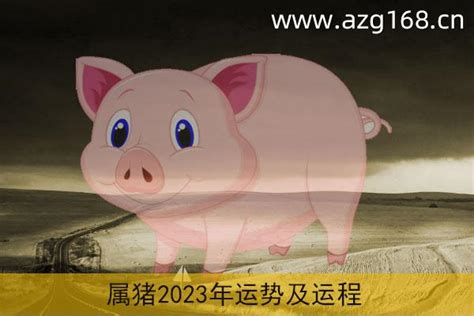 2024属猪|属猪2024年运势及运程详解每月 2024年属猪人的全年运势